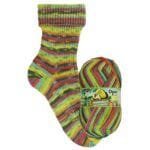 opal regenwald 11344