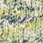 Phildar PINGO PARADISE (medvilnė) - Image 4