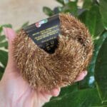 Tropical Lane LOVER (Blizgūs efektiniai siūlai su viskoze) - Image 4